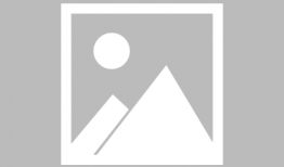 NICO动画短视频,浓缩的艺术魅力瞬间呈现